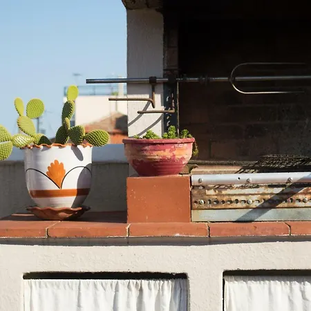 Old-town Roof-garden *