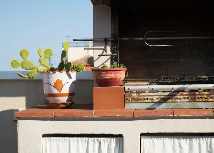 Old-town Roof-garden *
